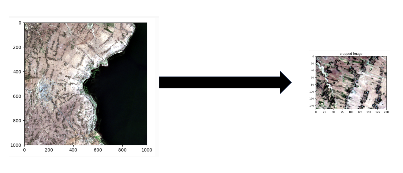 03 Crop Image